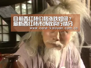 目前西红柿价格涨跌如何？最新西红柿市场收购行情分析：开元棋牌app