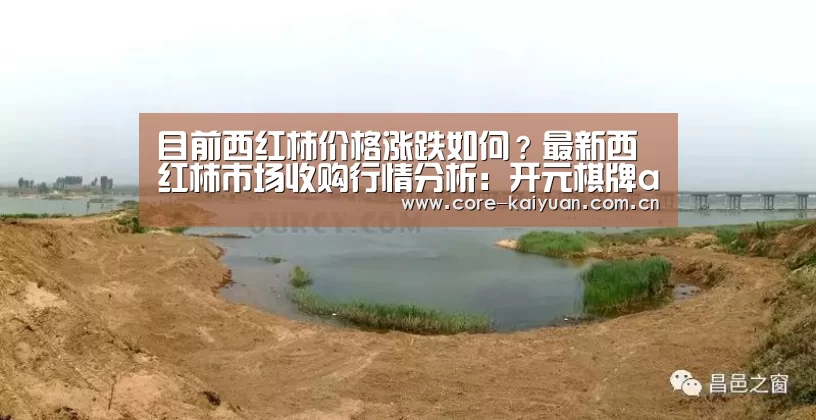 开云体育中国官网