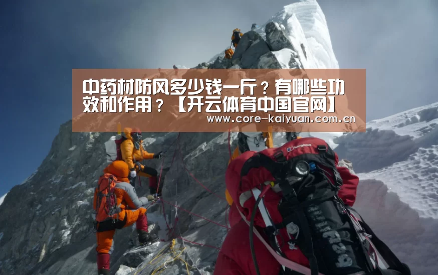 中药材防风多少钱一斤?有哪些功效和作用?【开云体育中国官网】(图3) 开元棋牌电脑版