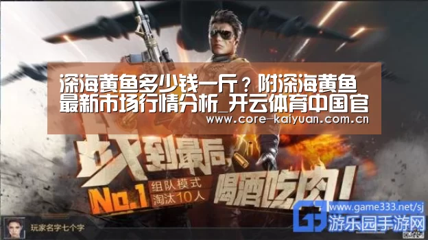 开云体育中国官网
