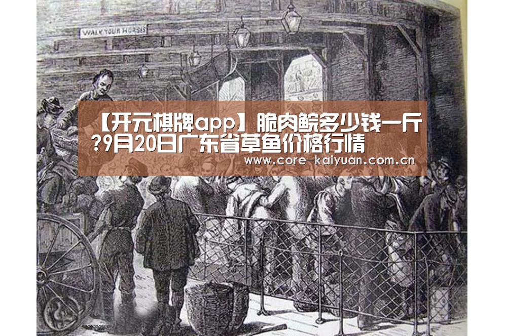 【开元棋牌app】脆肉鲩多少钱一斤?9月20日广东省草鱼价格行情(图2) 开元棋牌app