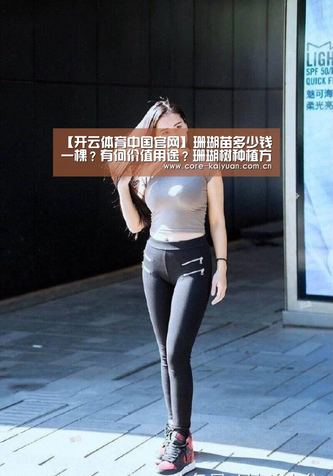 【开云体育中国官网】珊瑚苗多少钱一棵?有何价值用途?珊瑚树种植方法技术(图4) 开元棋牌下载